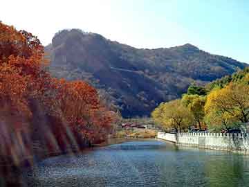 管家婆黑白马报图库，泊君seo